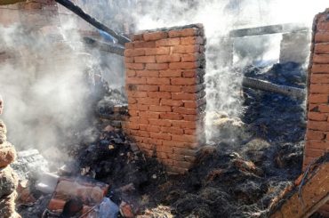 16 animale au ars într-un sălaş, la Teregova