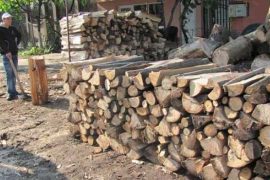 Direcția Silvică a ieftinit lemnul de foc pentru populație