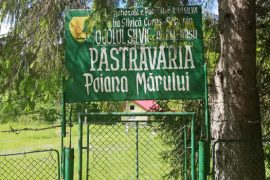 Cine are 45 de mii de euro pe an poate avea şi Păstrăvăria Poiana Mărului