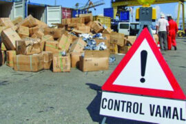 20 de milioane de lei, „vămuiți” în buzunarul statului