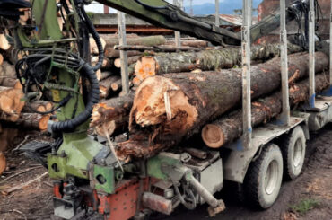 Cărăşenii ar putea primi 150 de lei pentru fiecare metru cub de lemn de foc