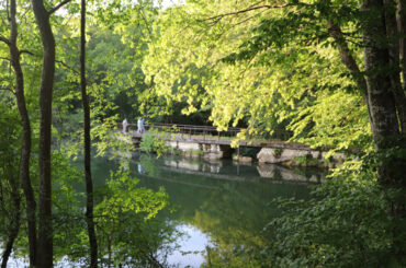 VIDEO! Scafandrii au verificat vana Lacului Mărghitaş