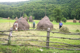 Prea puţini locuitori, prea multe comune