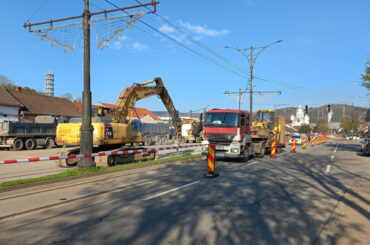 Deviată, restricţionată, temperată