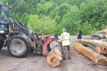 Sancţiuni prompte, încasări tărăgănate