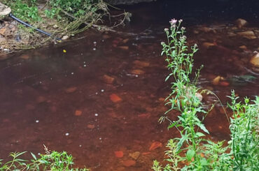 Izvorul Levigatului, între mister şi măsuri de urgenţă