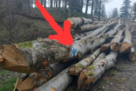 Inspecţia Judiciară scoate dosarele din sertarele procurorilor reşiţeni