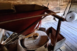 Acasă în Banat, din nou la Rudăria