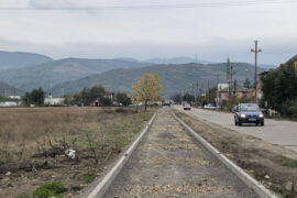 Moldova Nouă investește în transportul verde