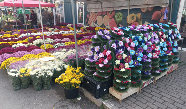 Adio (fără regrete) coroanelor din plastic